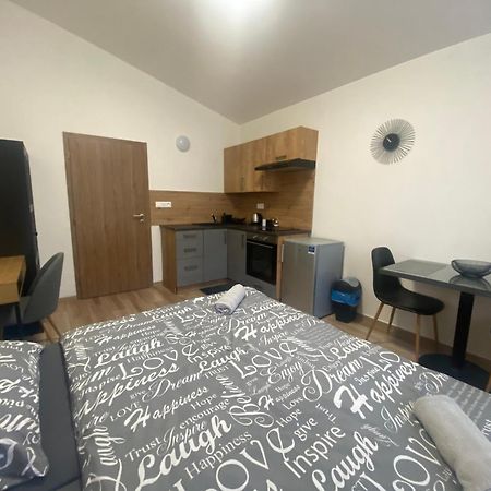 Cerna Ruze - Apartman 7 Plzen Luaran gambar