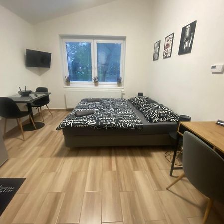 Cerna Ruze - Apartman 7 Plzen Luaran gambar