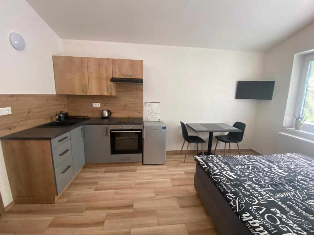 Cerna Ruze - Apartman 7 Plzen Luaran gambar