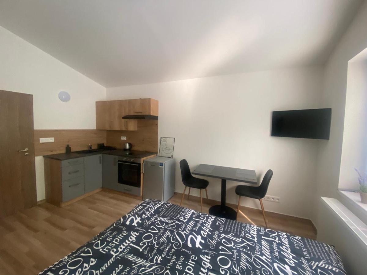 Cerna Ruze - Apartman 7 Plzen Luaran gambar