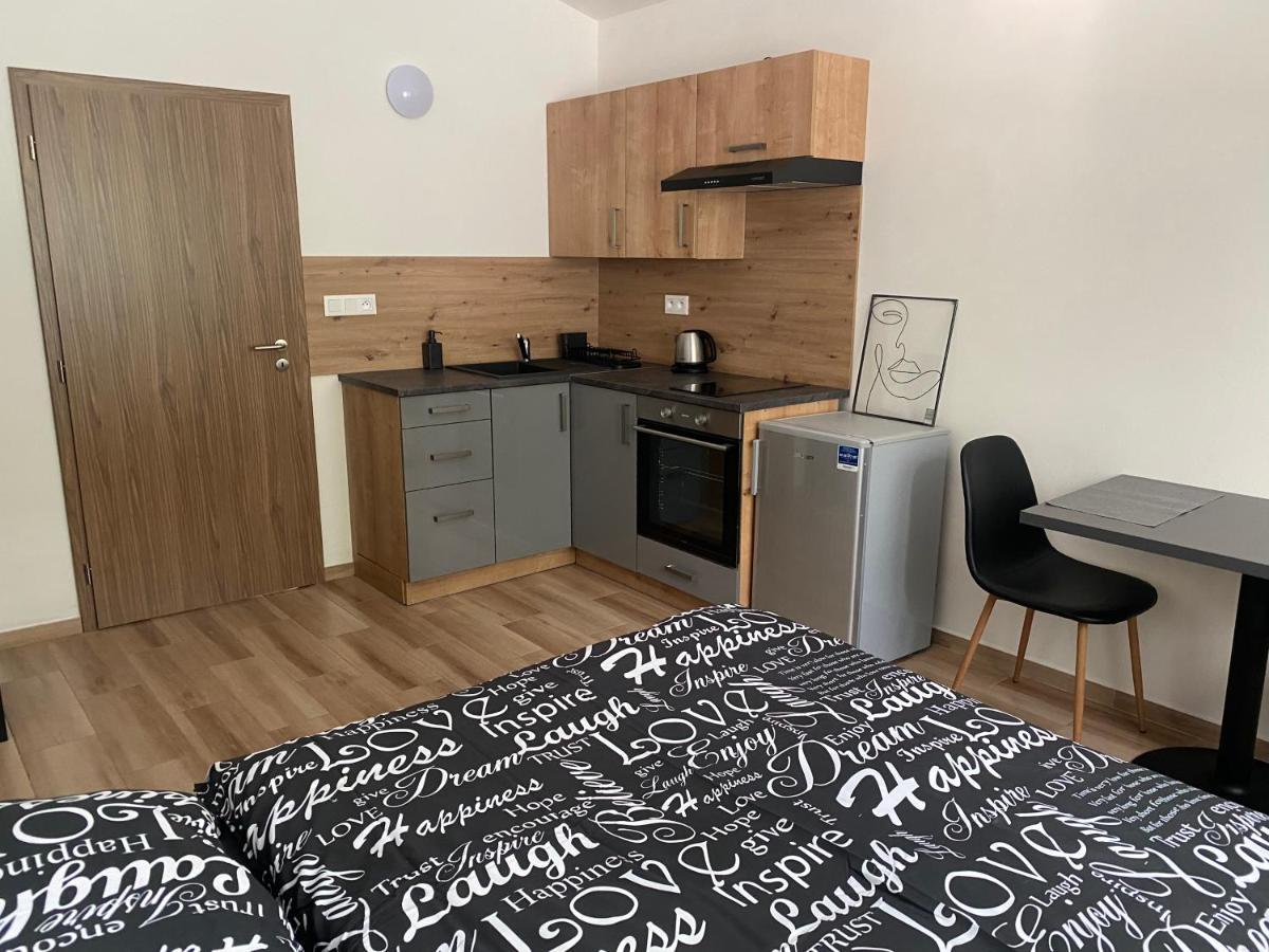 Cerna Ruze - Apartman 7 Plzen Luaran gambar