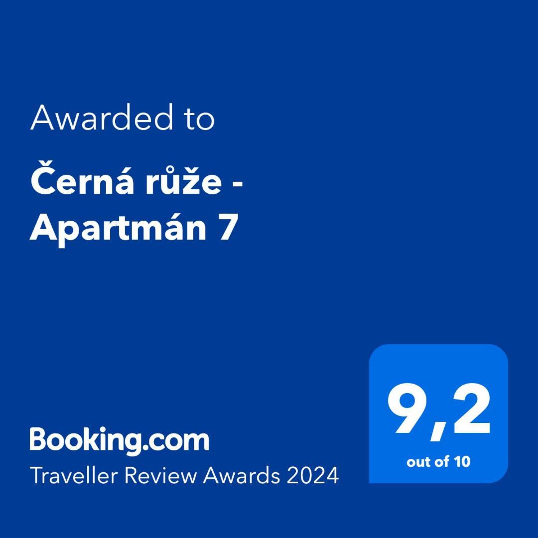 Cerna Ruze - Apartman 7 Plzen Luaran gambar